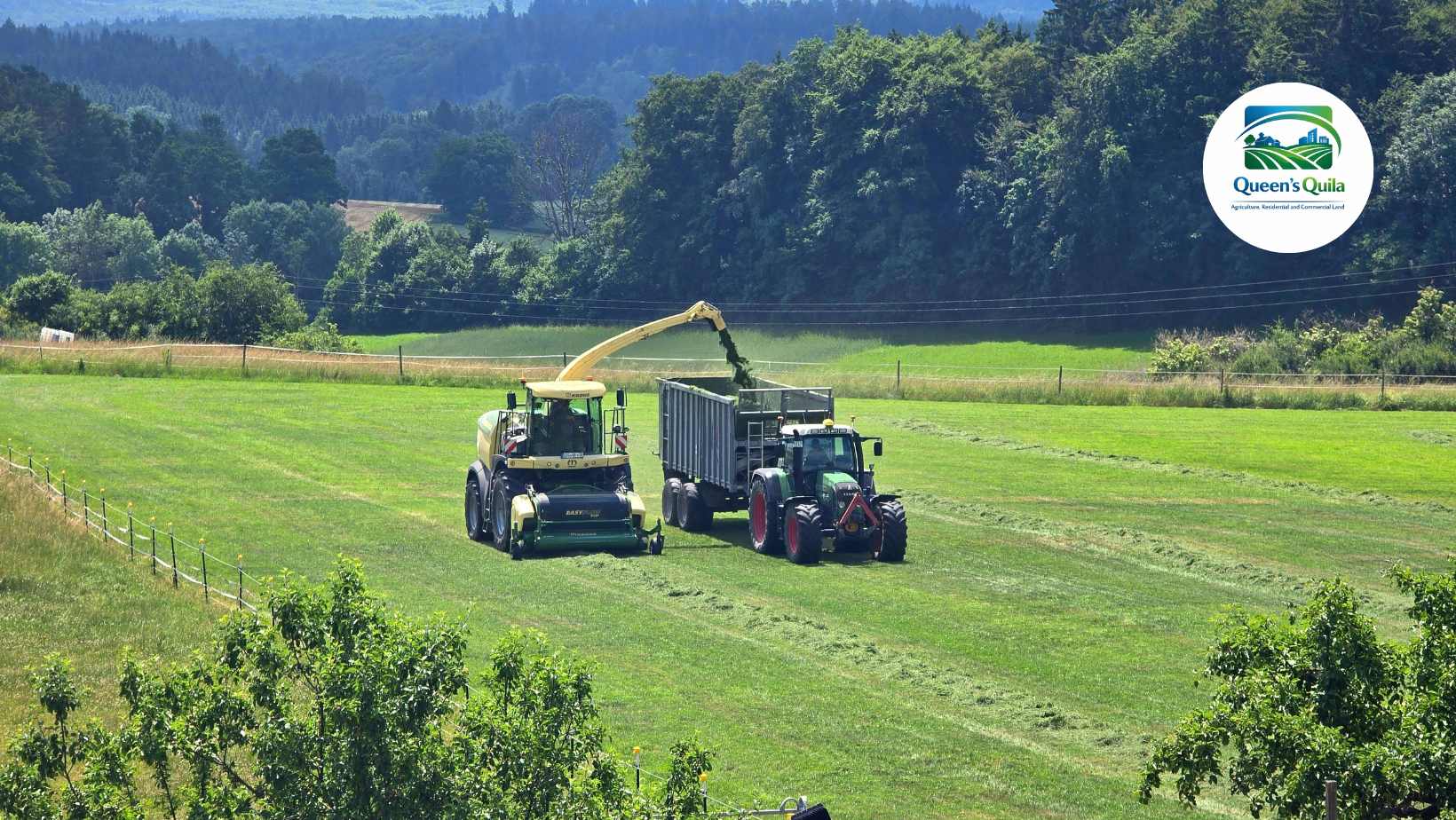 Agricultural Land near Samalkha Road, Panipat