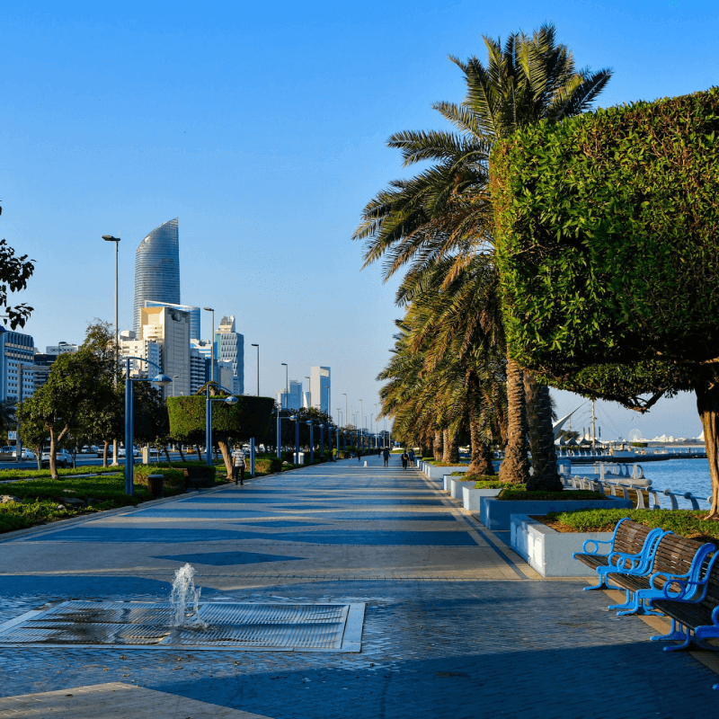 Commercial Shop in Maharaj Bada Market